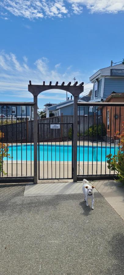 Sunny Cove Motel Capitola Zewnętrze zdjęcie