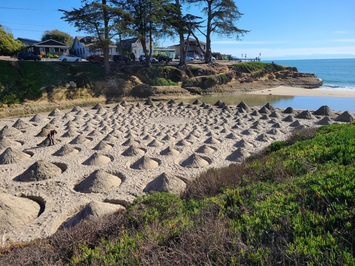 Sunny Cove Motel Capitola Zewnętrze zdjęcie