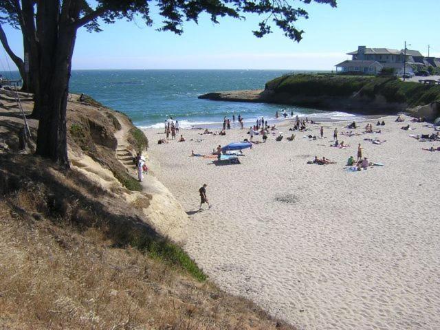 Sunny Cove Motel Capitola Zewnętrze zdjęcie